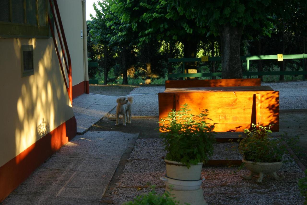 Villa Lilli 2 Ferrara Kültér fotó