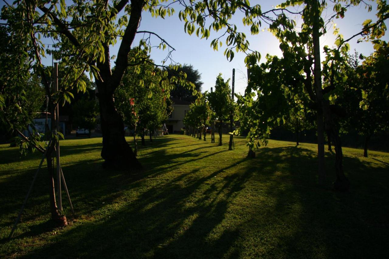 Villa Lilli 2 Ferrara Kültér fotó
