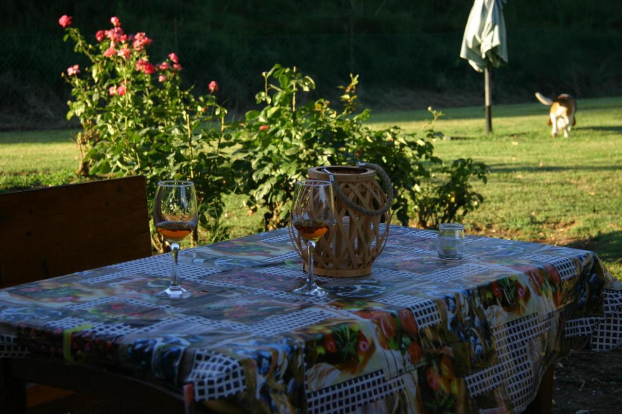 Villa Lilli 2 Ferrara Kültér fotó